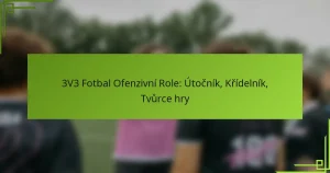 3V3 Fotbal Ofenzivní Role: Útočník, Křídelník, Tvůrce hry
