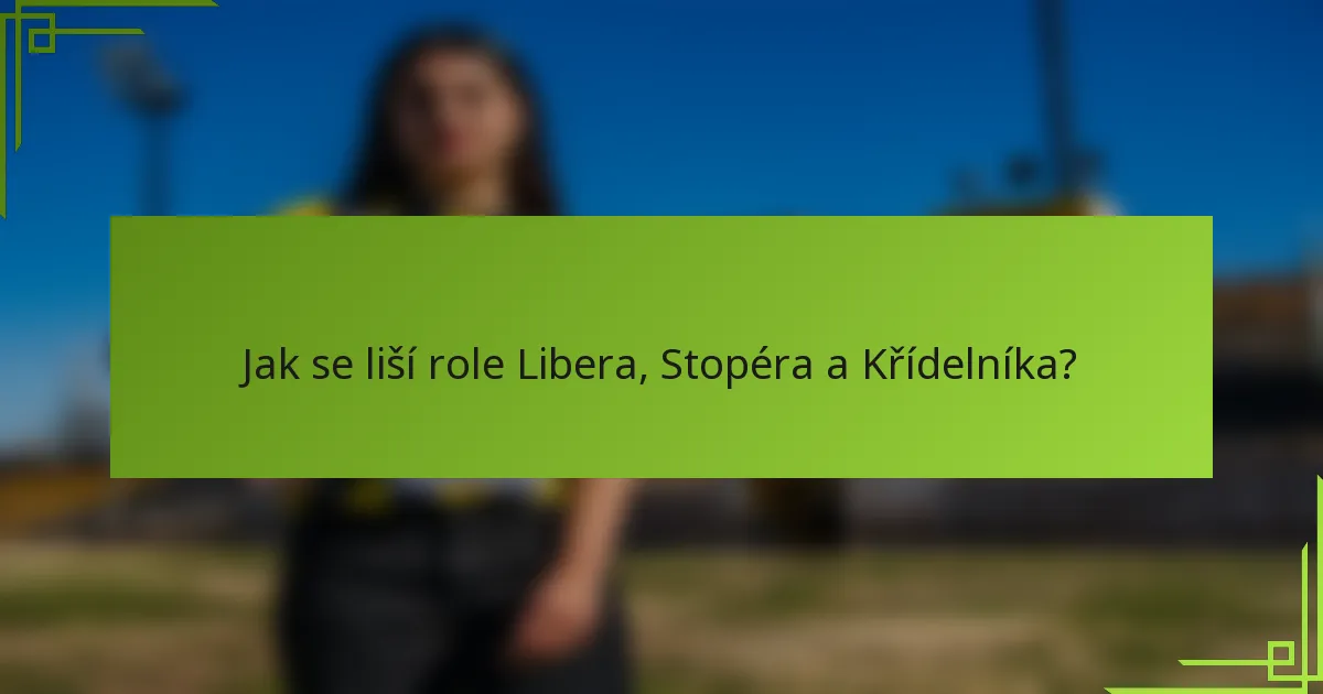 Jak se liší role Libera, Stopéra a Křídelníka?
